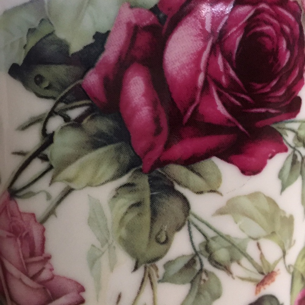 Meet your Posher, Kaitlyn